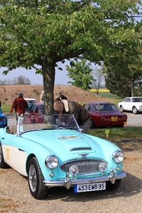 20100512150110-3.jpg