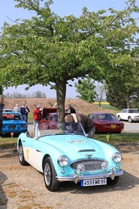20100512150110-4.jpg