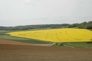 20100512155619-26.jpg