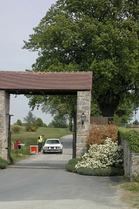 20100512160542-75.jpg