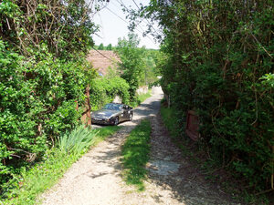 DSCF2875_H2.jpg