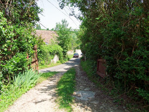 DSCF2876_H2.jpg