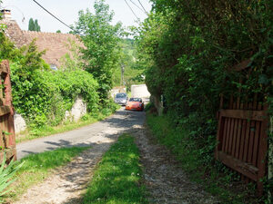 DSCF2915_H2.jpg