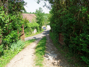 DSCF2948_H2.jpg