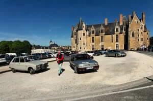 DSC_0369_M.jpg