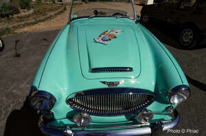 DSC_0431_M.jpg