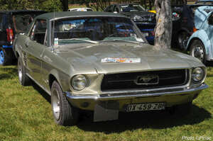 DSC_9316_M.jpg