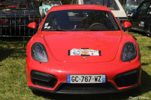 DSC_9317_M.jpg