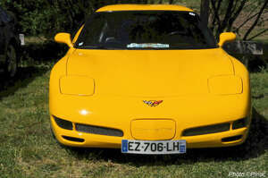 DSC_9323_M.jpg