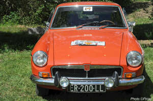 DSC_9325_M.jpg