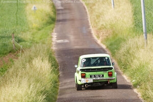 IMG_3599_M.jpg