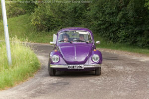 IMG_3619_M.jpg