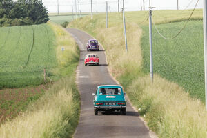 IMG_3626_M.jpg