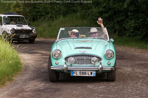 IMG_3685_M.jpg