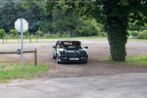 IMG_3800_M.jpg