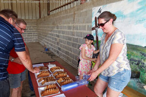 IMG_3952_M.jpg