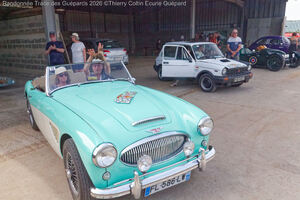 IMG_3955_M.jpg