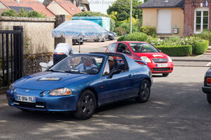IMG_3962_M.jpg